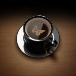 Martin__33